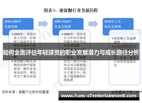 如何全面评估年轻球员的职业发展潜力与成长路径分析