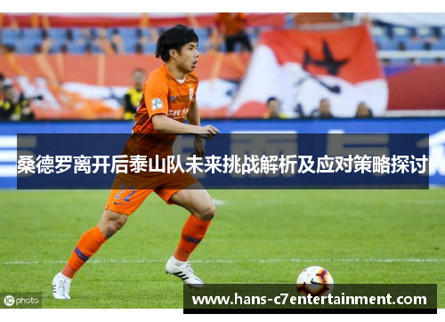 桑德罗离开后泰山队未来挑战解析及应对策略探讨