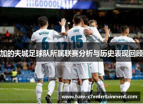 加的夫城足球队所属联赛分析与历史表现回顾