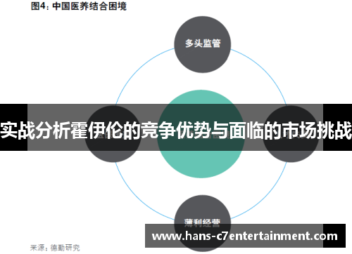 实战分析霍伊伦的竞争优势与面临的市场挑战